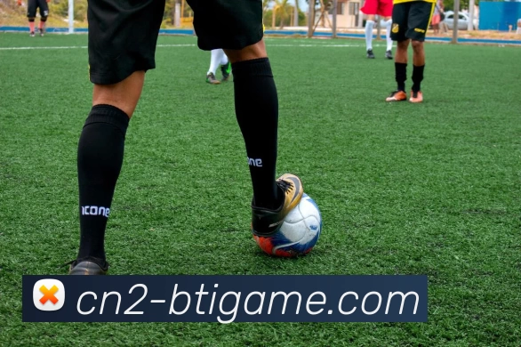 BTI体育官网平台生态图